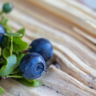 Wild blue berries
