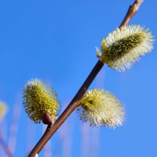 Myynnin oikea ajoitus